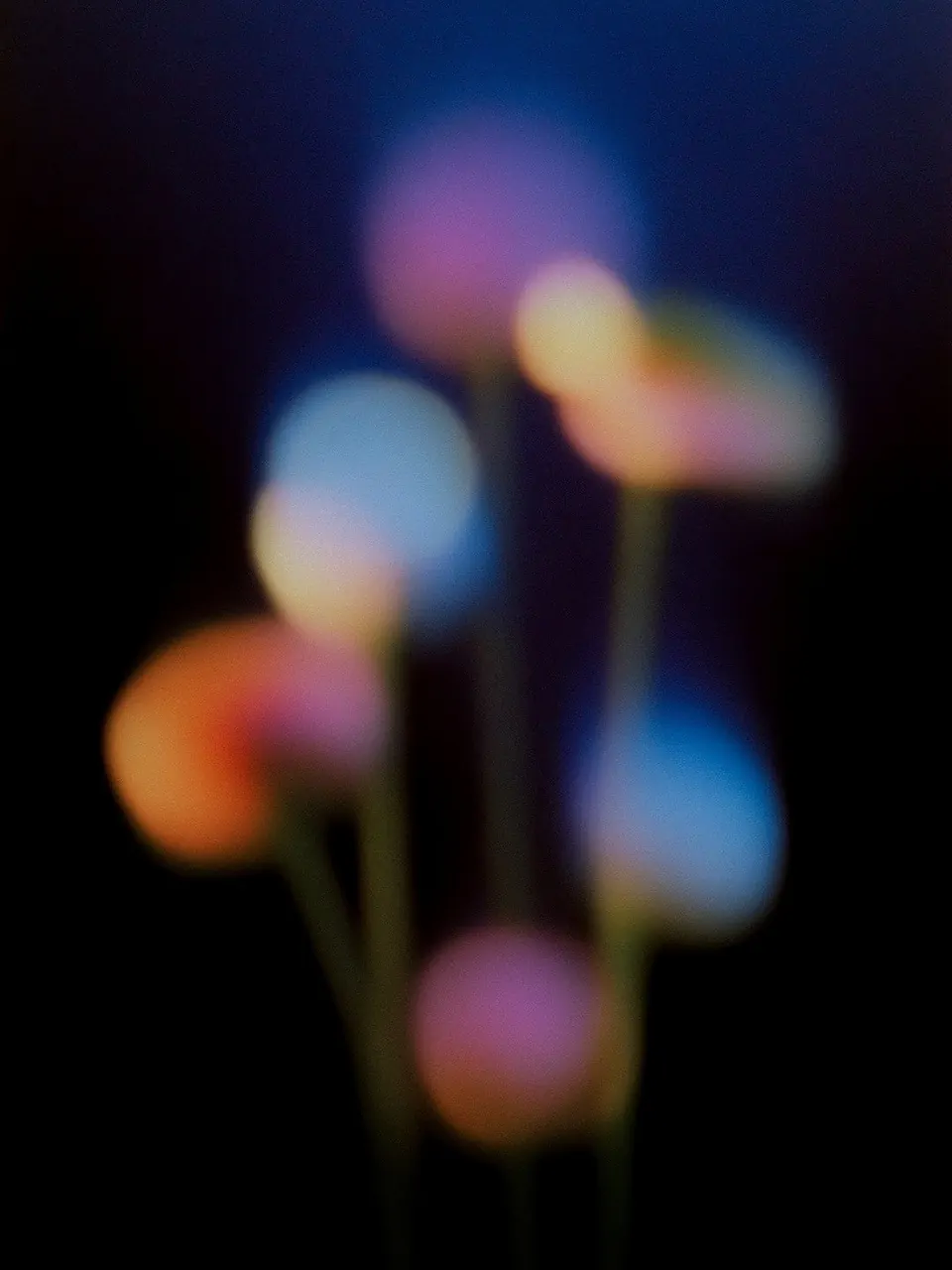 黒地に、かすかな緑の茎から柔らかなオレンジ、青、ピンク、紫の花の形が立ち上がる。