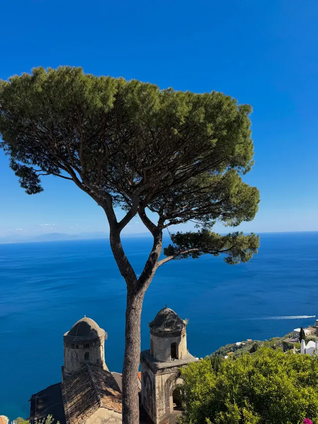A tall umbrella pine rises above two old stone turrets overlooking a deep blue sea.