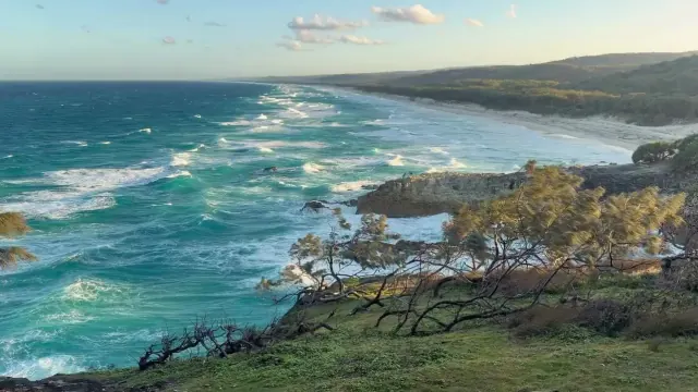 Ocean waves break along a rocky headland beneath a windswept tree, with slight handheld camera drift
