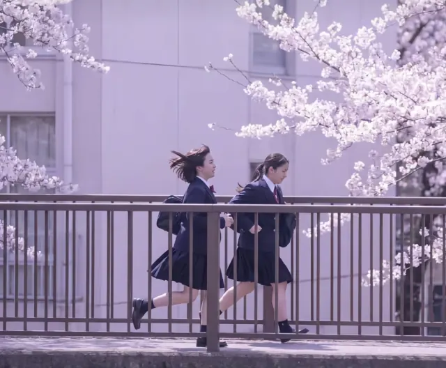 Two women in navy school uniforms running across a pedestrian bridge beneath spring cherry blossoms