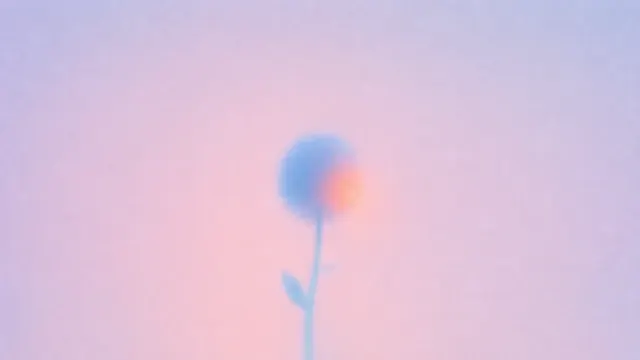 Single small blurred flower centered in a spacious softly colored blue field