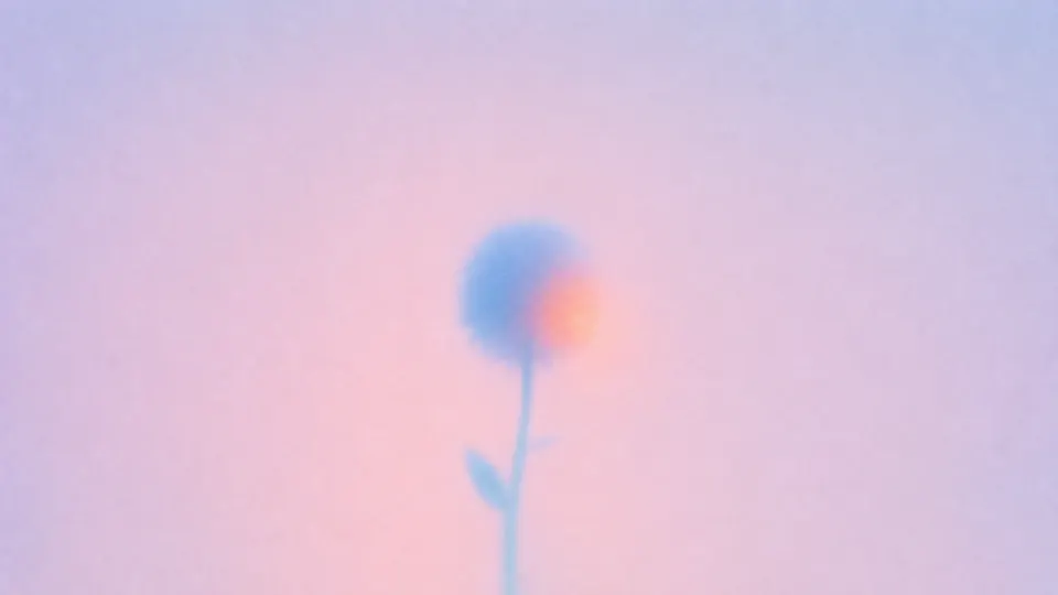 Single small blurred flower centered in a spacious softly colored blue field