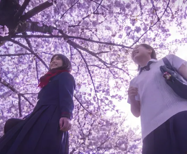 Low angle view of two smiling women beneath a dense canopy of pale cherry blossoms