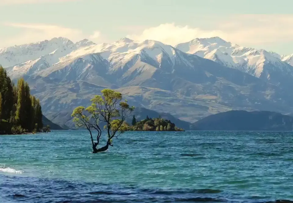 Primer fotograma de Un árbol solitario en el lago Wanaka