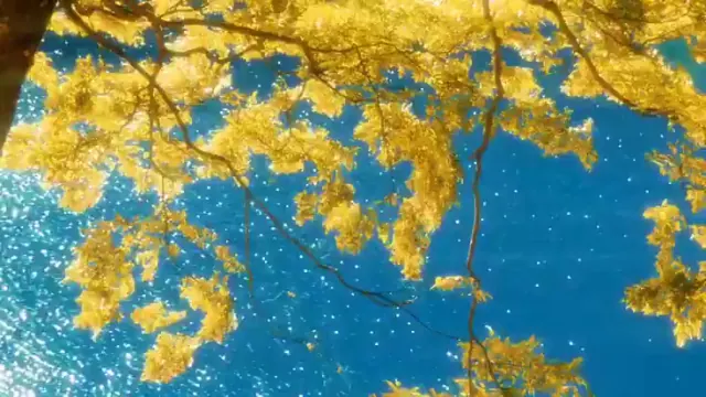 Golden foreground branches hang over bright cyan water with moving sun sparkles and gentle camera drift