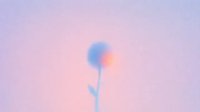 Single small blurred flower centered in a spacious softly colored blue field