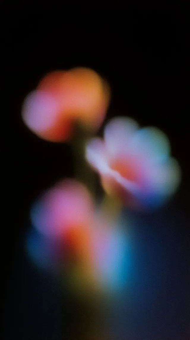Three blurred amber, lavender and cyan flowers with fine photographic grain on a nearly black background