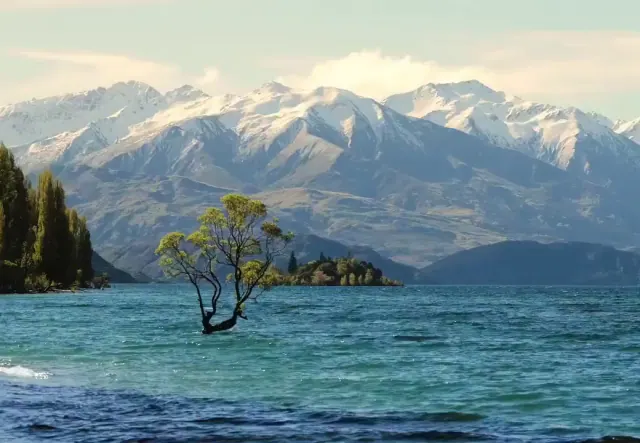 tree and mountain anchors stay fixed, water and left foam change; no loop assumed.